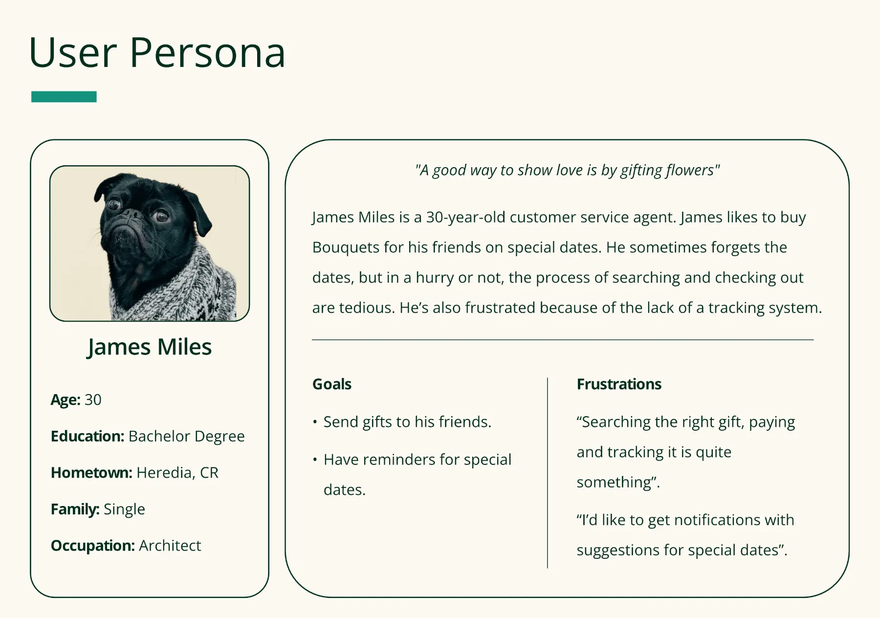 User Persona